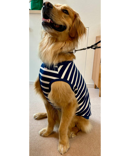 Insect Shield Striped DOG Tee