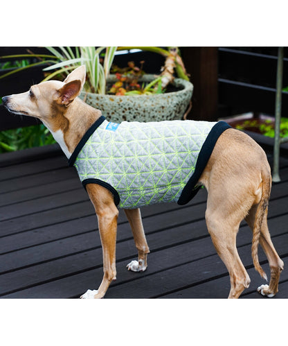Quilt Jacquard DOG Tee