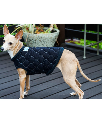 Quilt Jacquard DOG Tee