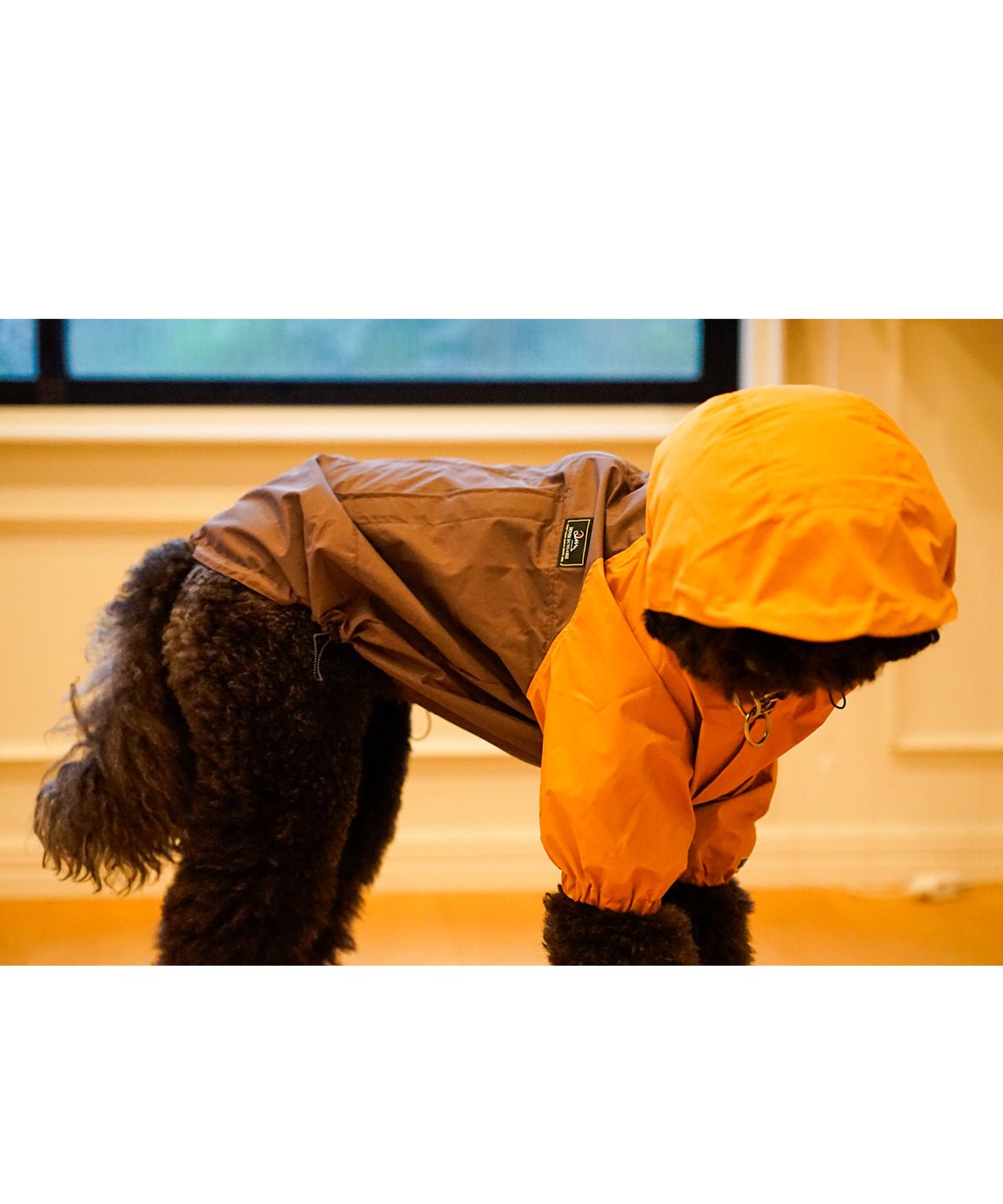 Mountain DOG Hoodie