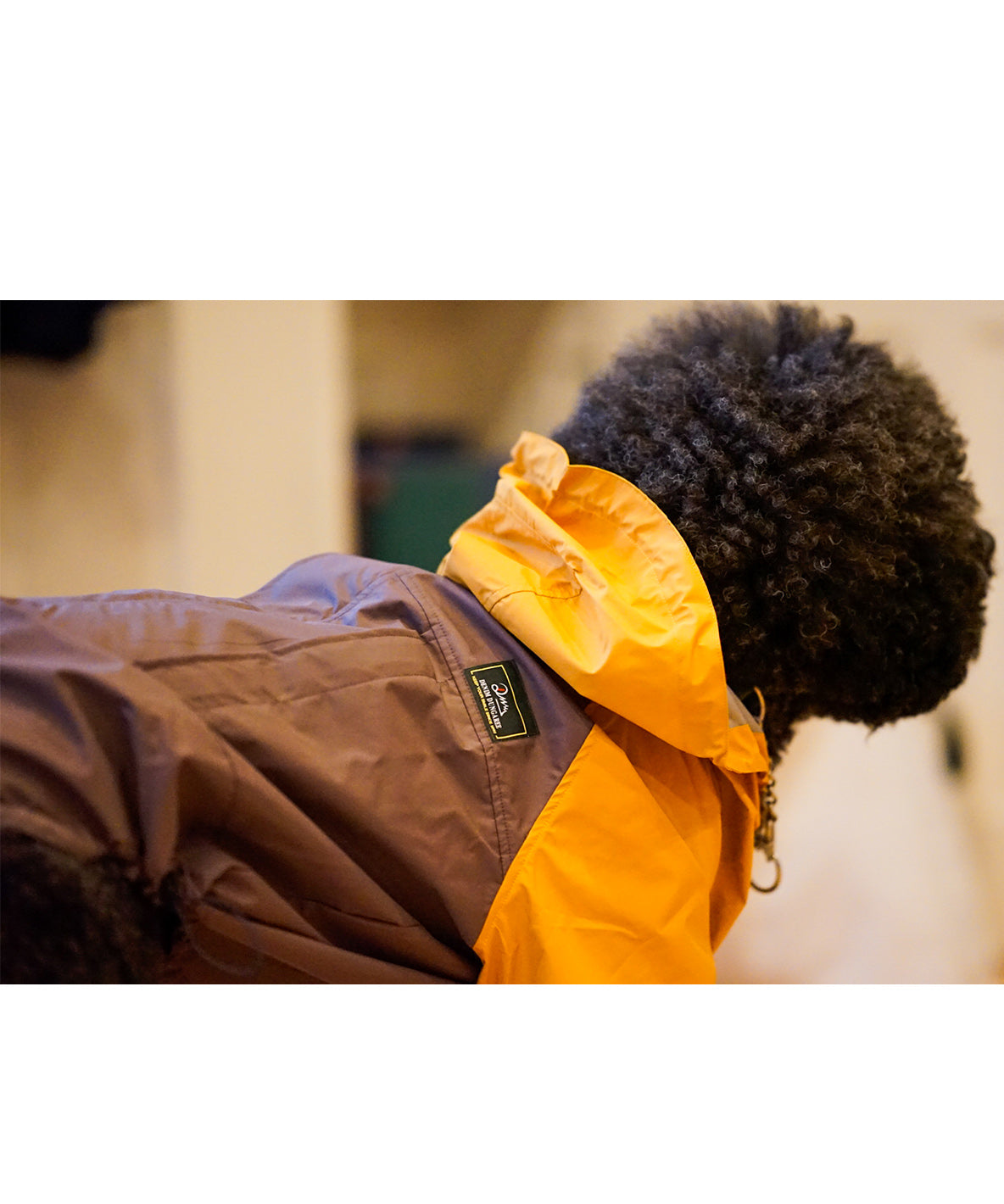 Mountain DOG Hoodie