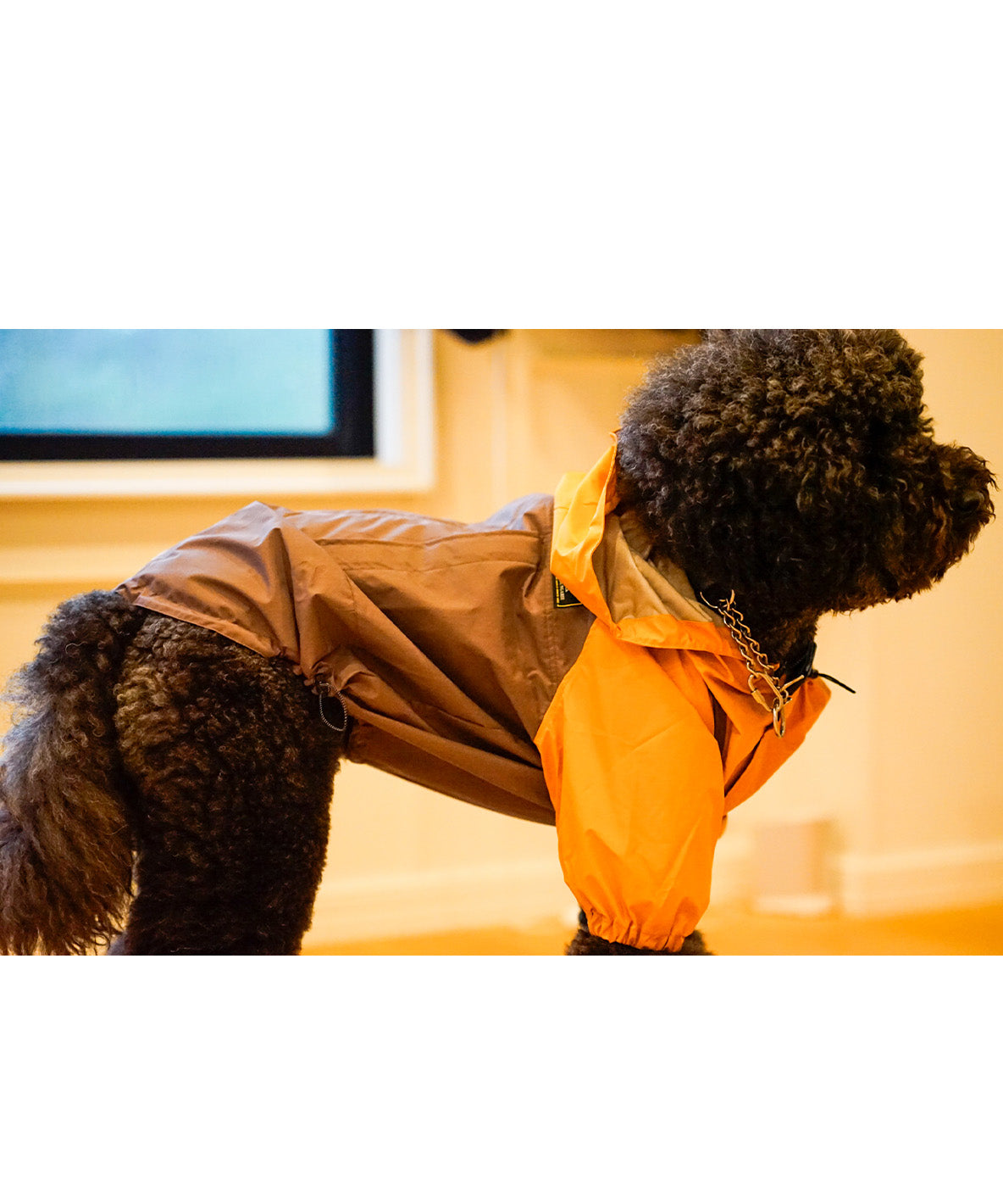 Mountain DOG Hoodie