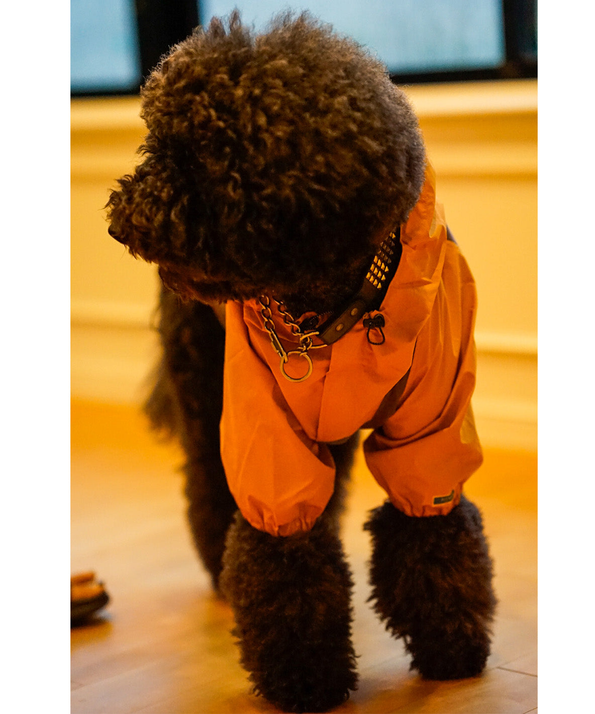 Mountain DOG Hoodie