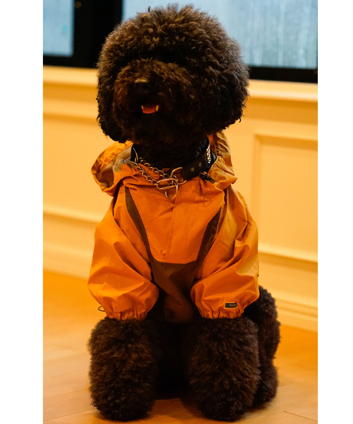 Mountain DOG Hoodie