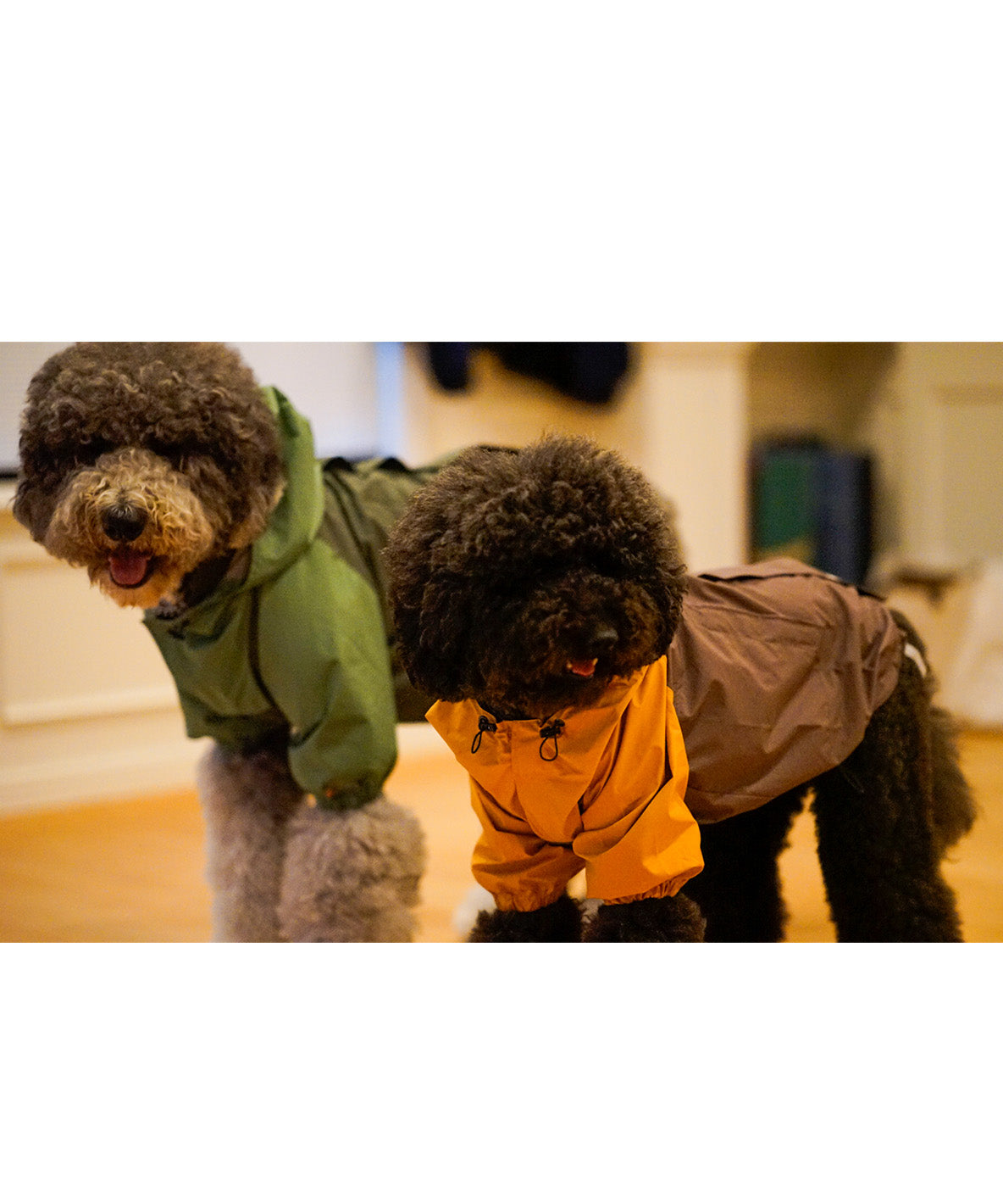 Mountain DOG Hoodie