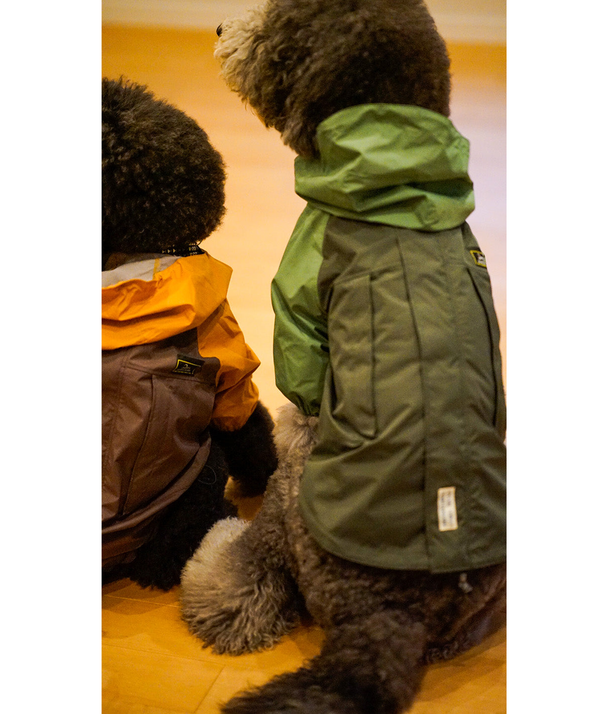 Mountain DOG Hoodie