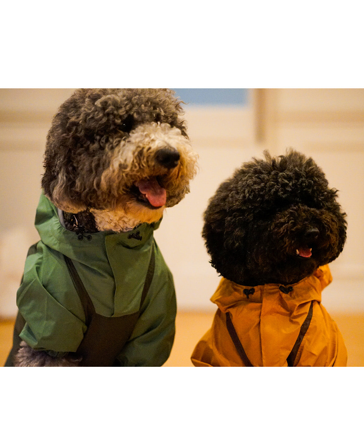 Mountain DOG Hoodie