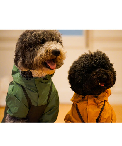 Mountain DOG Hoodie