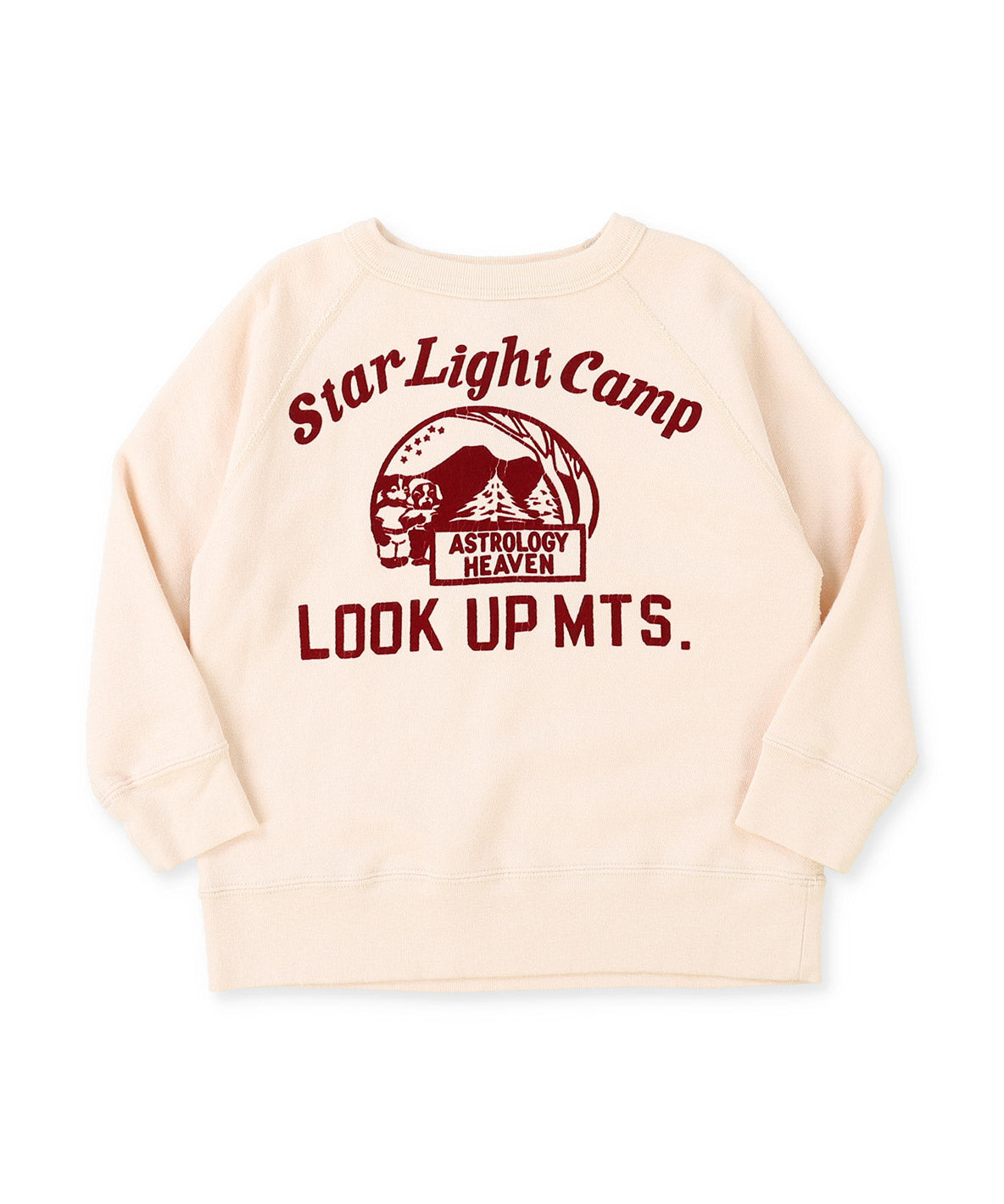 Vintage Fleece CAMP Sweatshirt