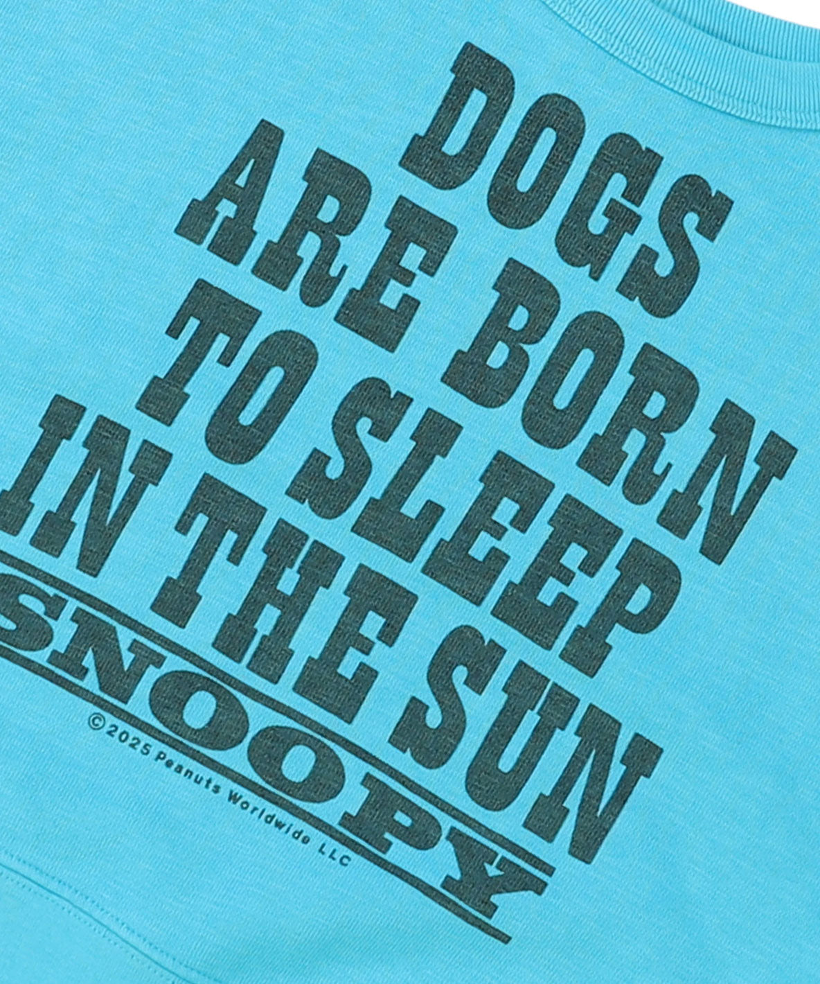 SNOOPY SUN Sweatshirt