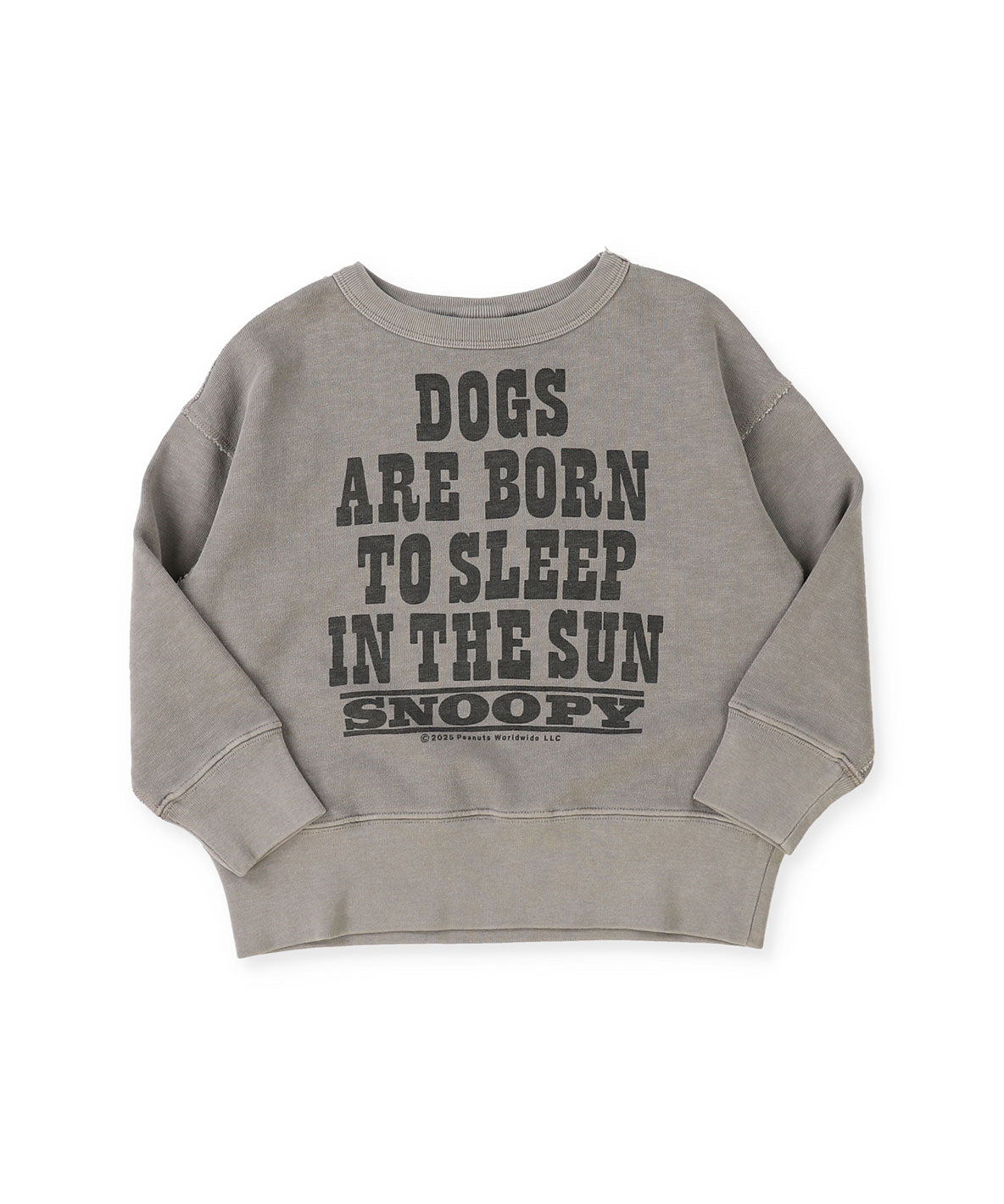 SNOOPY SUN Sweatshirt