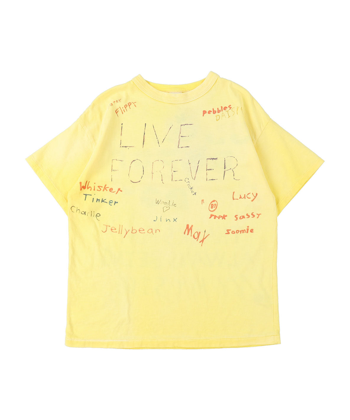 Vintage Cotton Jersey LIVE Tee(LADIES)