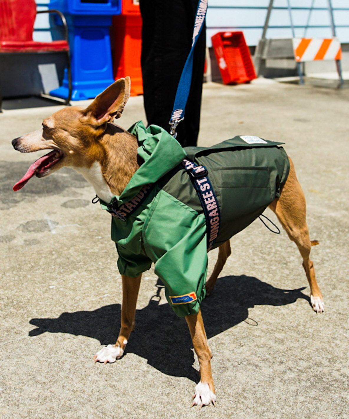 Mountain DOG Hoodie