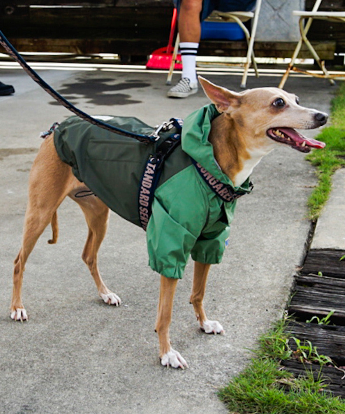 Mountain DOG Hoodie