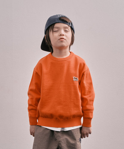 GRVYCLRS Crewneck Knit